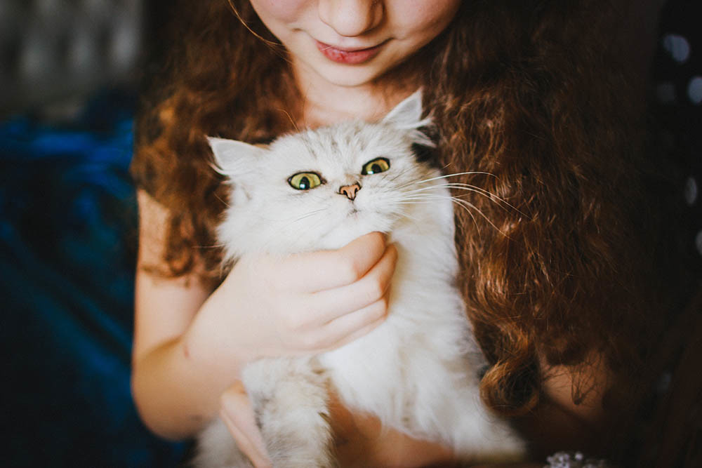 Bambina con gatto, animali domestici, asma e allergie