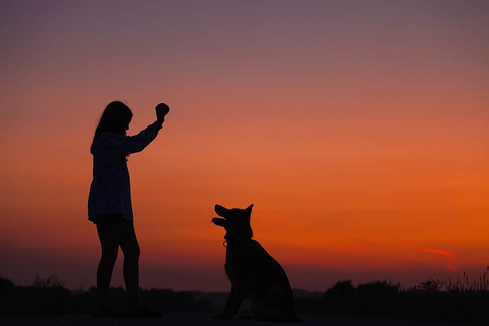 Pelo del cane, allergia, asma e malattie