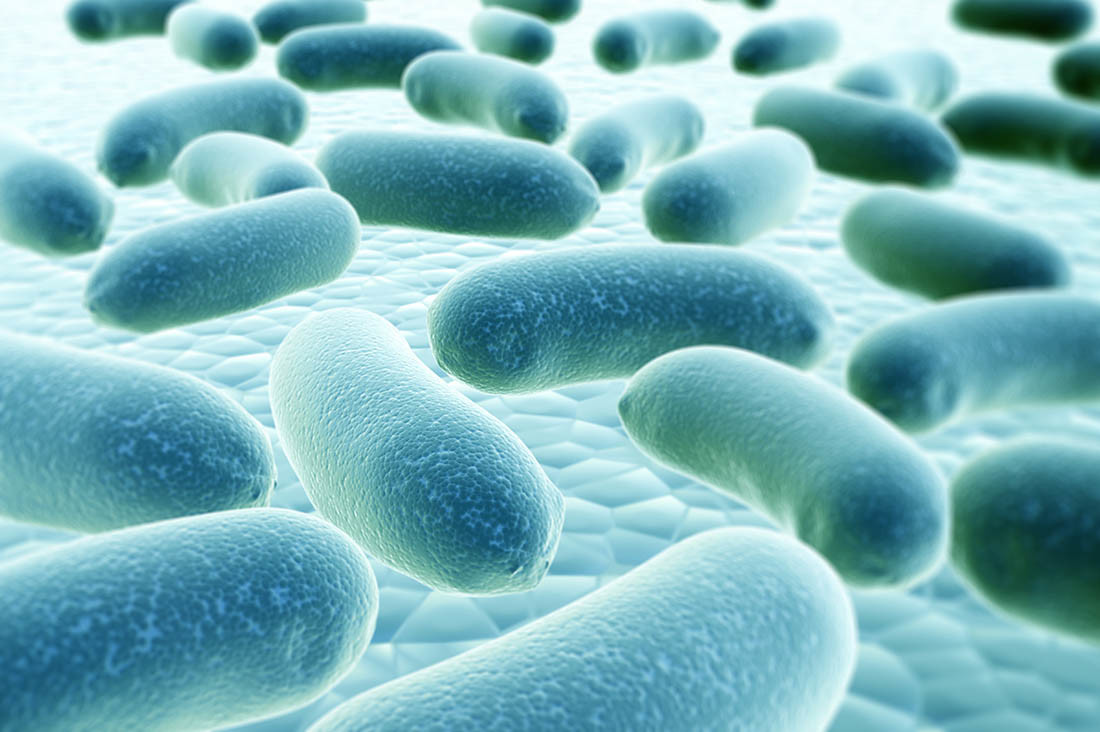 Colonia batterica, microbi e render 3D