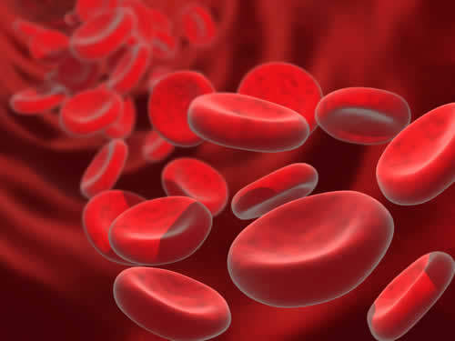 Globuli rossi, emoglobina e ossigeno