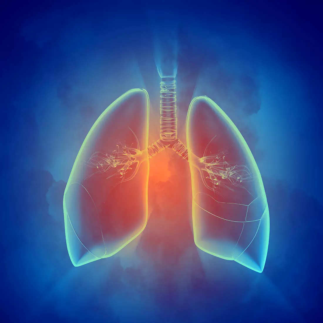 polmoni umani simulano fibrosi