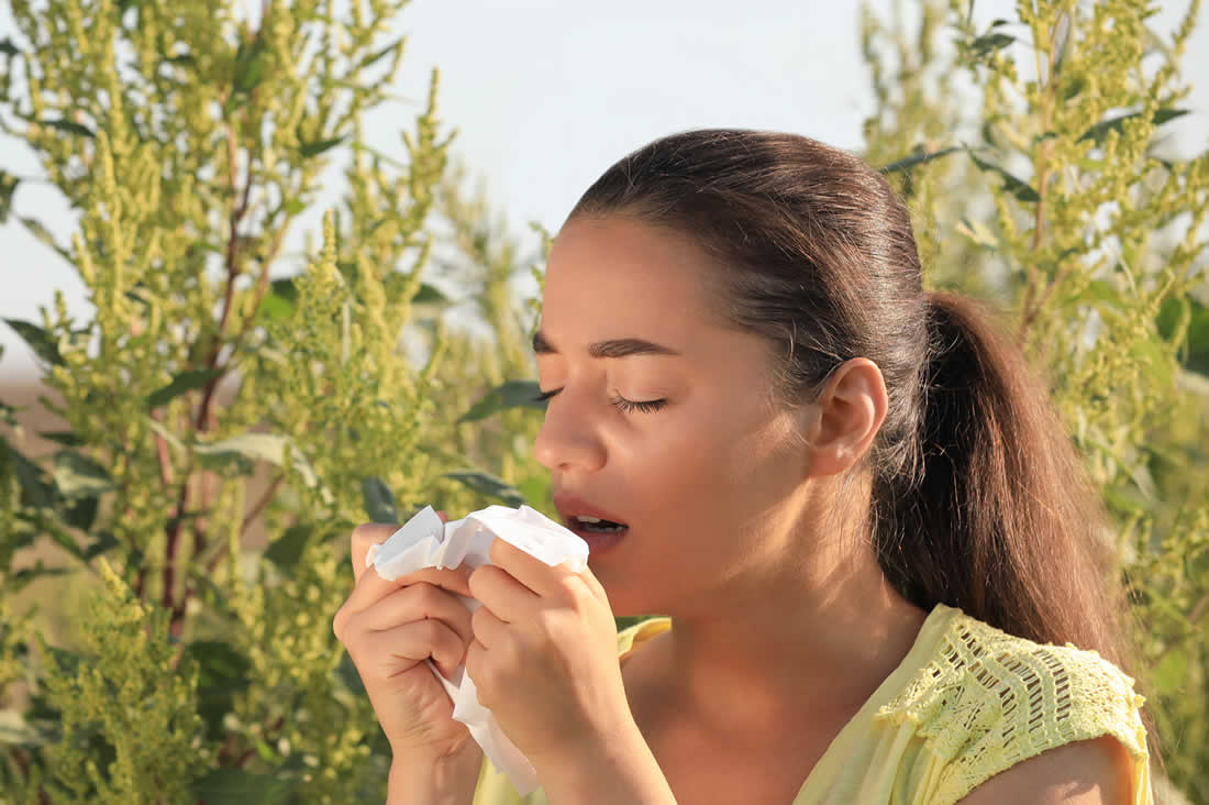 allergia all'ambrosia con asma