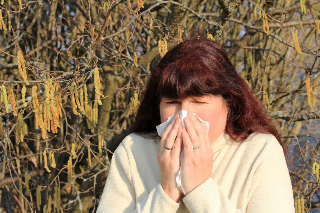 cosa non mangia allergico betulla con asma